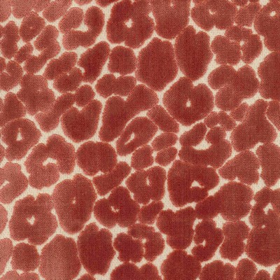 Magnolia Fabrics  Landon SALMON