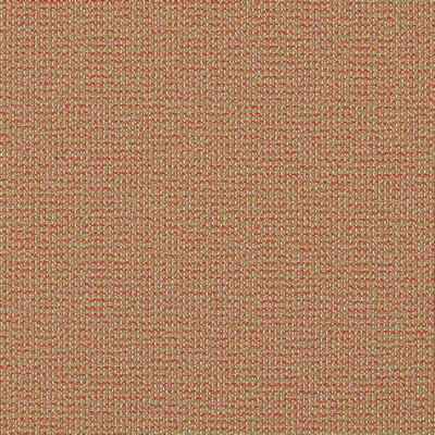 Magnolia Fabrics  Od-nev AZALEA