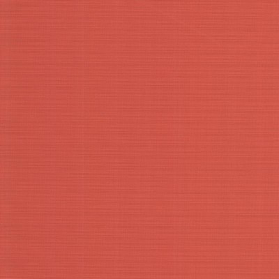 Magnolia Fabrics  Od-valid PEACH