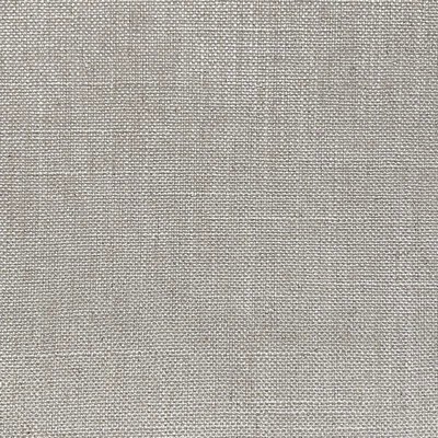 Magnolia Fabrics  Aster IVORY