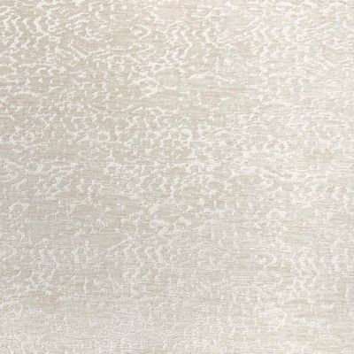 Magnolia Fabrics  Fey PEARL