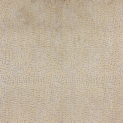 Magnolia Fabrics  Cayman HONEY