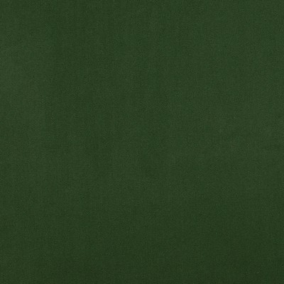 Magnolia Fabrics  Crypton Home Burkes STAND