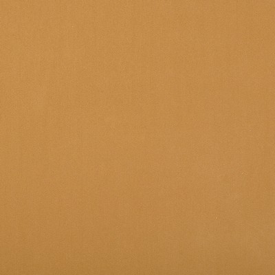 Magnolia Fabrics  Crypton Home Burkes HUSK