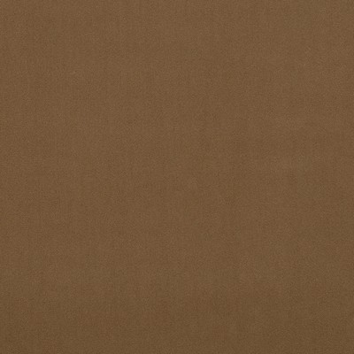 Magnolia Fabrics  Crypton Home Burkes STONE