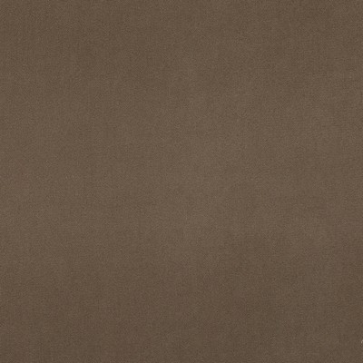 Magnolia Fabrics  Crypton Home Burkes SEAL