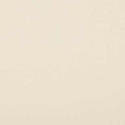 Magnolia Fabrics  Crypton Home Burkes BONE