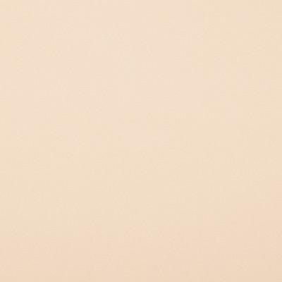 Magnolia Fabrics  Crypton Home Burkes EGGSHELL