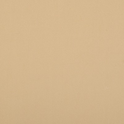 Magnolia Fabrics  Crypton Home Burkes OYSTER