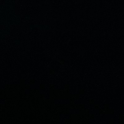 Magnolia Fabrics  Crypton Home Burkes EBONY