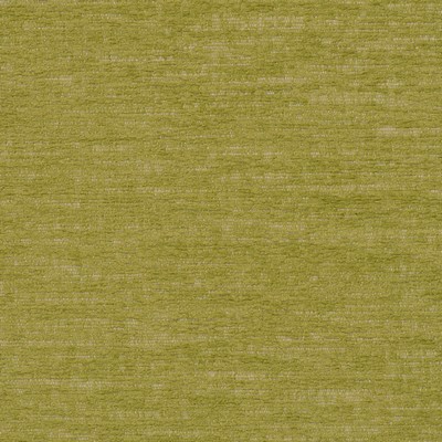 Magnolia Fabrics  Insideout Sayra GRASS