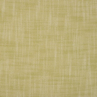 Magnolia Fabrics  Insideout Frances PALM
