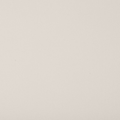 Magnolia Fabrics  Insideout Coco CLOUD