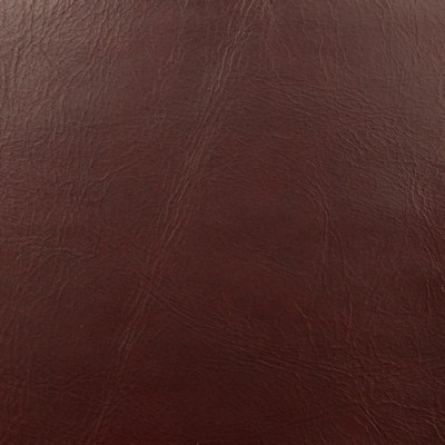 Magnolia Fabrics  Miles RAISIN