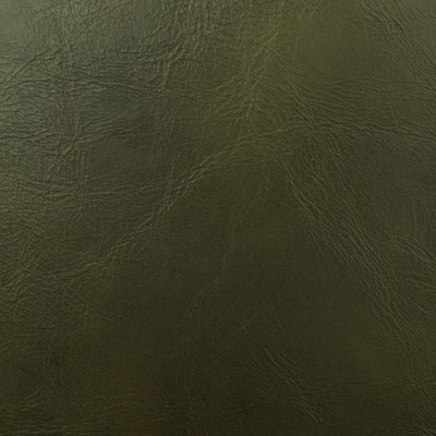 Magnolia Fabrics  Miles FOREST