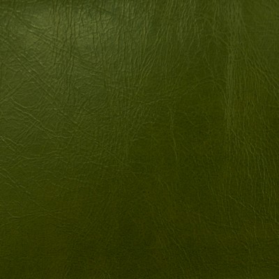 Magnolia Fabrics  Miles LANDSCAPE