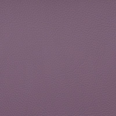 Magnolia Fabrics  Voyager ALLIUM