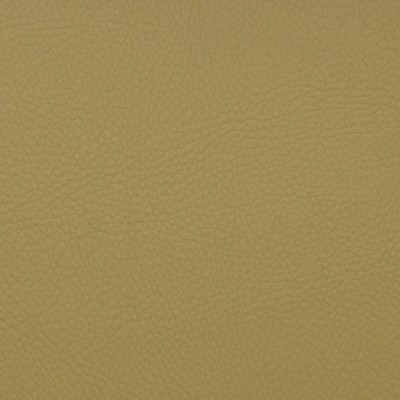 Magnolia Fabrics  Voyager ALOE