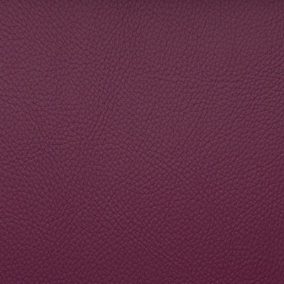 Magnolia Fabrics  Voyager BEET