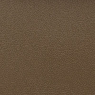 Magnolia Fabrics  Voyager BISON