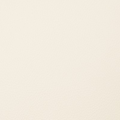 Magnolia Fabrics  Voyager BONE