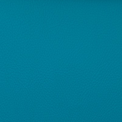 Magnolia Fabrics  Voyager CALYPSO