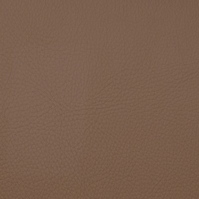 Magnolia Fabrics  Voyager CHESTNUT