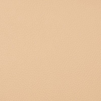 Magnolia Fabrics  Voyager CHICKPEA