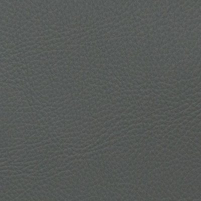 Magnolia Fabrics  Voyager CHINCHILLA