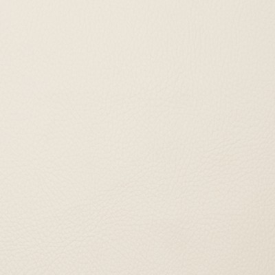 Magnolia Fabrics  Voyager COCONUT