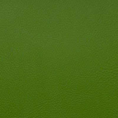 Magnolia Fabrics  Voyager FOREST