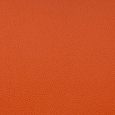 Magnolia Fabrics  Voyager HENNA