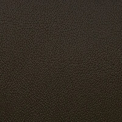 Magnolia Fabrics  Voyager HUNTER