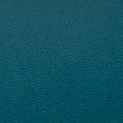 Magnolia Fabrics  Voyager INTENSE TEAL