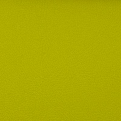 Magnolia Fabrics  Voyager KEY LIME