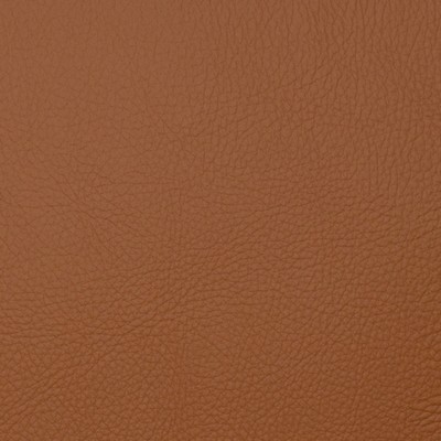 Magnolia Fabrics  Voyager MAPLE