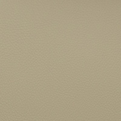 Magnolia Fabrics  Voyager MUSHROOM