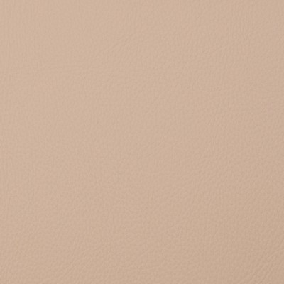 Magnolia Fabrics  Voyager NOUGAT