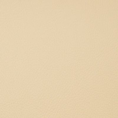 Magnolia Fabrics  Voyager PARSNIP