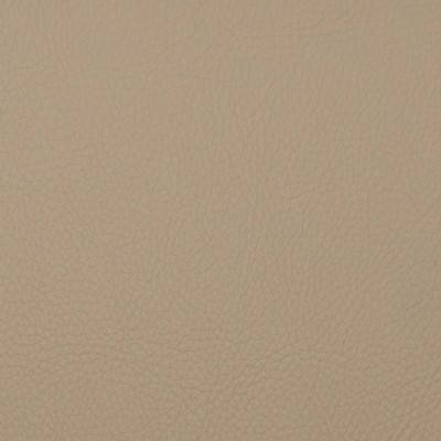 Magnolia Fabrics  Voyager PEBBLE