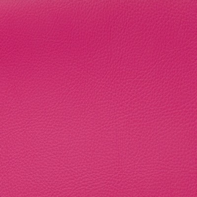 Magnolia Fabrics  Voyager PINK