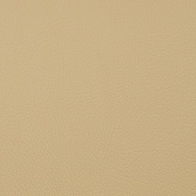 Magnolia Fabrics  Voyager SAND