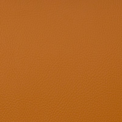 Magnolia Fabrics  Voyager SPICE