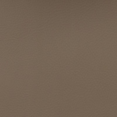 Magnolia Fabrics  Voyager ZINC