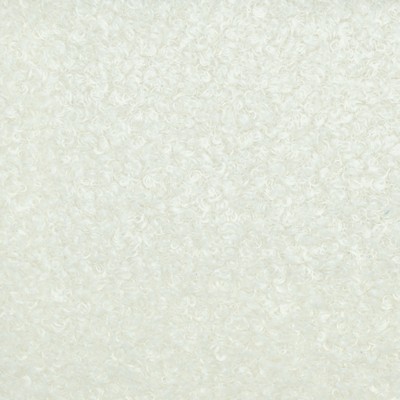 Magnolia Fabrics  Winnie COCONUT