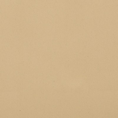 Magnolia Fabrics  Umbra CREAM
