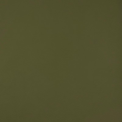 Magnolia Fabrics  Quest ALOE