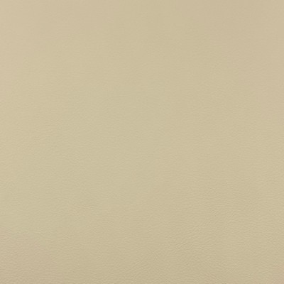 Magnolia Fabrics  Quest CHAI