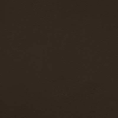 Magnolia Fabrics  Quest CHOCOLATE