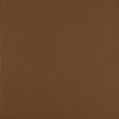 Magnolia Fabrics  Quest COCOA